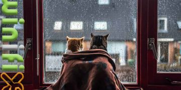 نفوذ آب باران از پنجره دوجداره