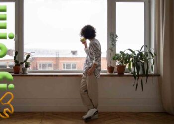 پنجره دوجداره دو‌حالته