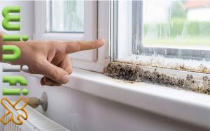 کپک بین شیشه دوجداره