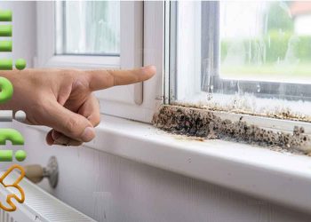کپک بین شیشه دوجداره