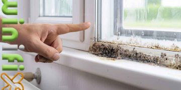 کپک بین شیشه دوجداره